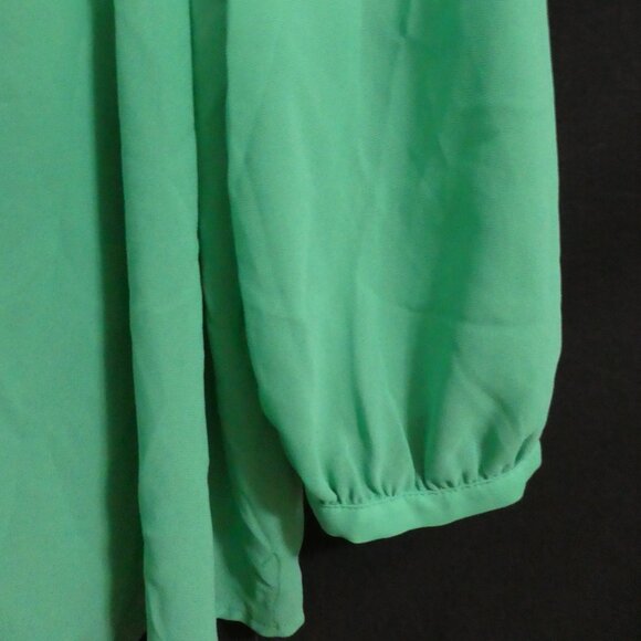 H&M | size 8 | Green Sheer Long Sleeve Button-Up Blouse | NWOT - Picture 14 of 16